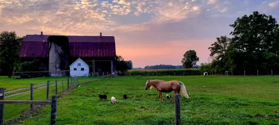 Dunnville - Photo 4