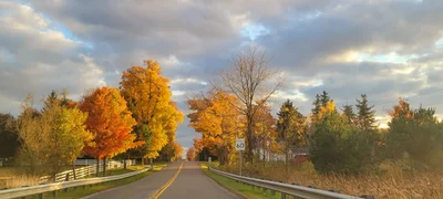 Dunnville - Photo 5