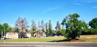 Turlock - Photo 3