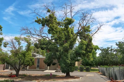 Turlock - Photo 5