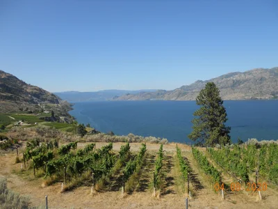 Summerland - Photo 4