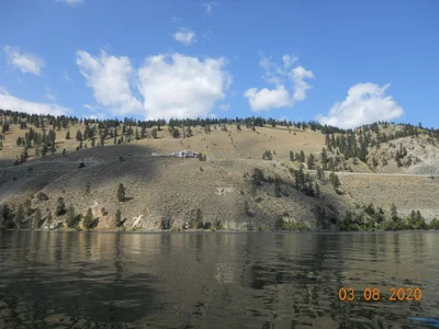 Summerland - Photo 5