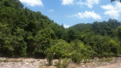 Guiping - Photo 3