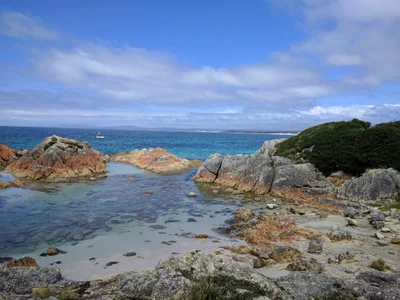 Mount William National Park - Photo 3