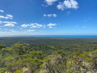 Mount William National Park - Photo 4