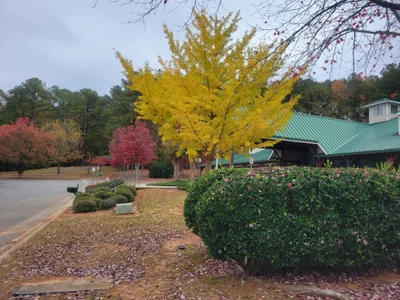 Acworth - Photo 4