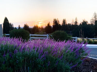 Rocklin - Photo 2