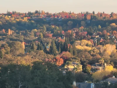 Rocklin - Photo 5