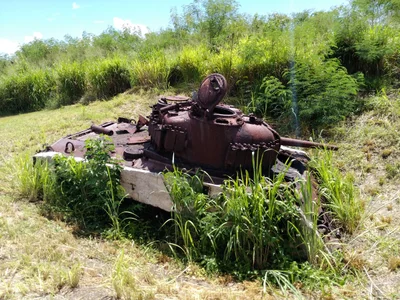 Iwo Jima - Photo 4
