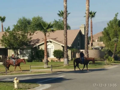Norco - Photo 4