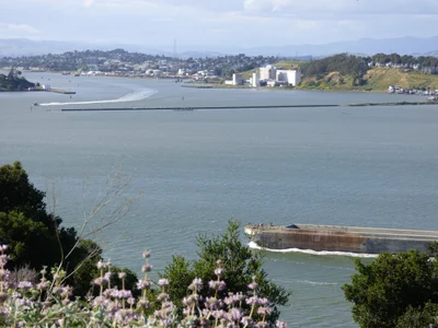 Vallejo - Photo 2
