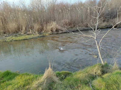 Clarington - Photo 2