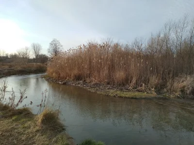 Clarington - Photo 4