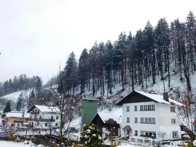 Tarvisio - Photo 5