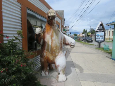 Puerto Natales - Photo 4