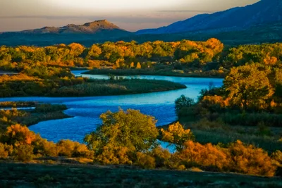 Fruita - Photo 5