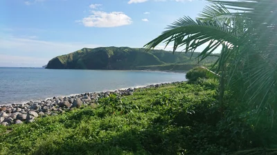 Basco - Photo 3