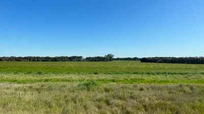 Derrinallum - Photo 3