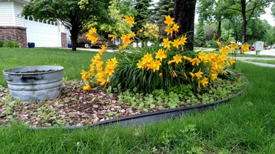 Grand Forks - Photo 2