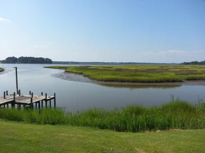 Suffolk - Photo 4