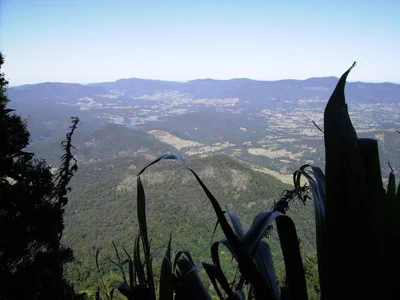 Mount Warning - Photo 3
