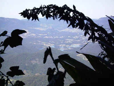 Mount Warning - Photo 4