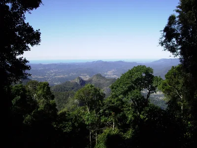 Mount Warning - Photo 5