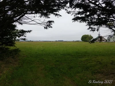 Arcata - Photo 2