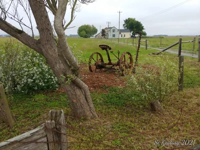 Arcata - Photo 3