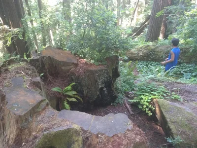 Arcata - Photo 4