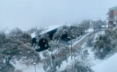 Mount Buller - Photo 2