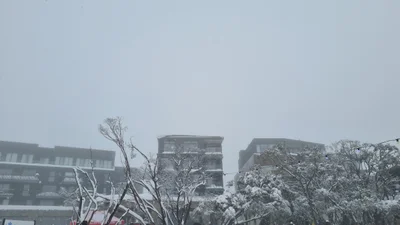 Mount Buller - Photo 5