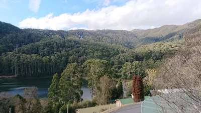 Bogong - Photo 2