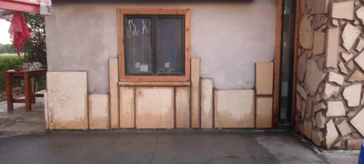 Pepin - Photo 4