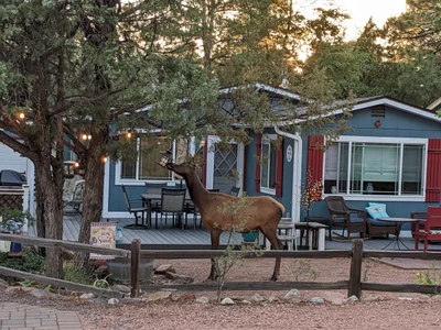 Payson - Photo 2