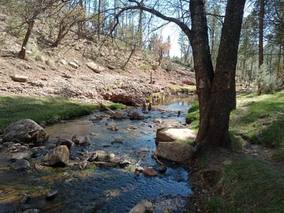 Payson - Photo 5