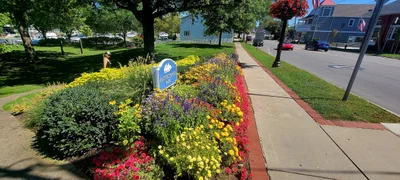 Vermilion - Photo 3