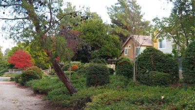 Chino Hills - Photo 3