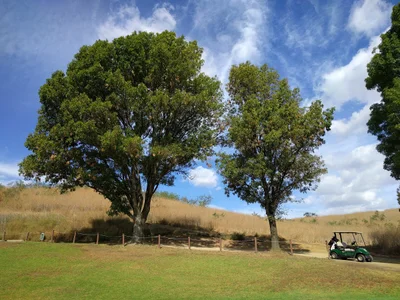 Chino Hills - Photo 4