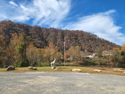 Elkhorn - Photo 3