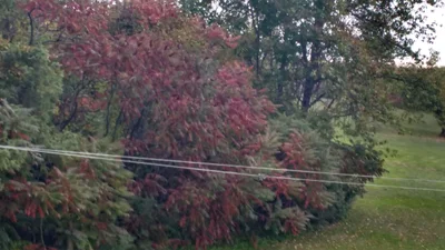 North Kawartha - Photo 2