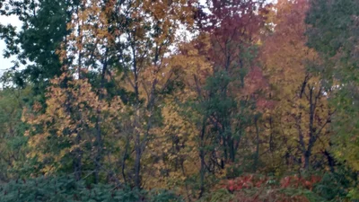 North Kawartha - Photo 3