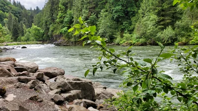 Snoqualmie - Photo 2