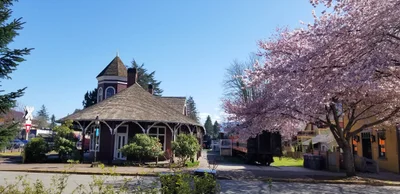 Snoqualmie - Photo 4