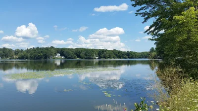 Lynnfield - Photo 4