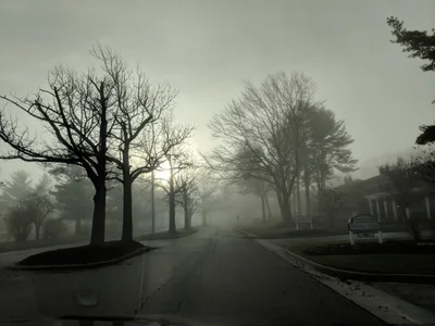 Mount Laurel Township - Photo 5