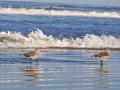 Grover Beach - Photo 3