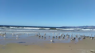 Grover Beach - Photo 4