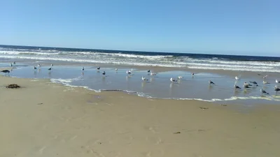 Grover Beach - Photo 5