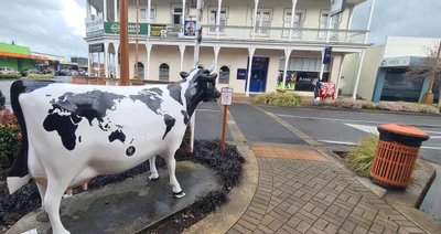 Morrinsville - Photo 5